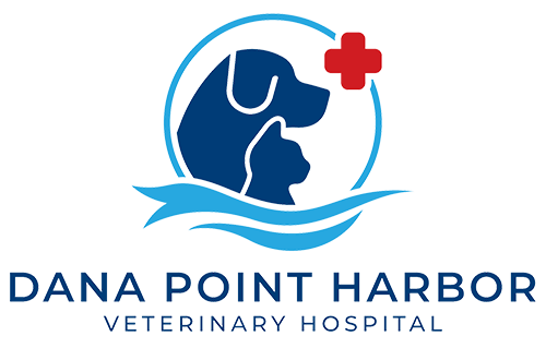 Dana Point Harbor Veterinary Hospital