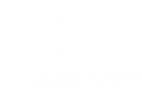 Dana Point Harbor Veterinary Hospital