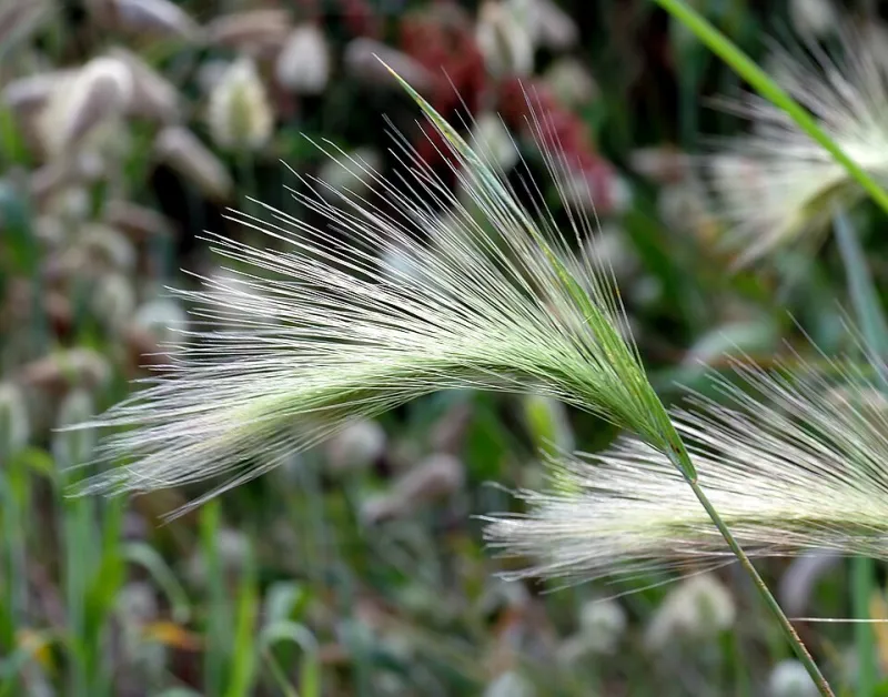 Postcard Perfect, Hazard Packed: The Hidden Dangers Lurking in Dana Point's Great Outdoors