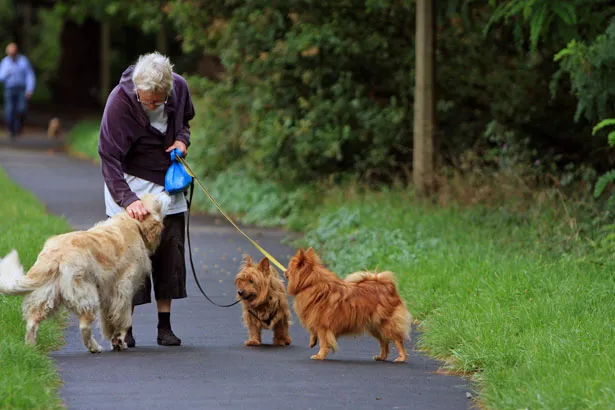 Tail Talk: 5 Clues Your Pet Is Getting Enough Exercise (and 5 They've Been Skipping Leg Day)